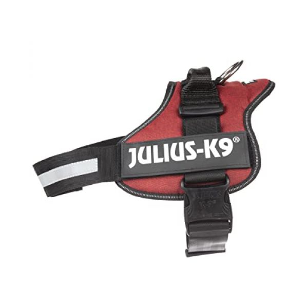Julius-K9 Powergeschirr