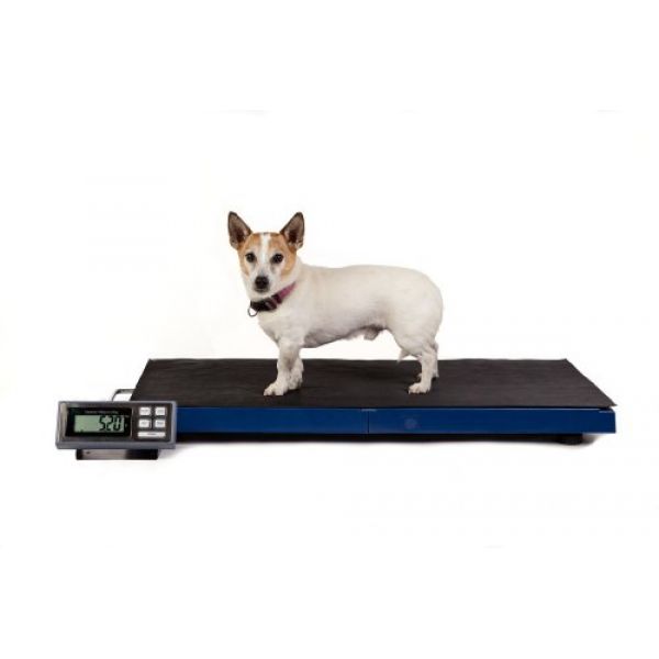 Große Veterinärwaage bis 180 kg