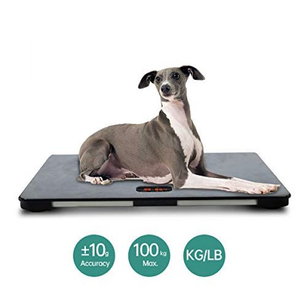 Digitale Waage für große Hunde von iCare-Pet