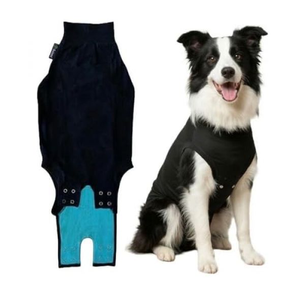 Der Suitical Schutzanzug