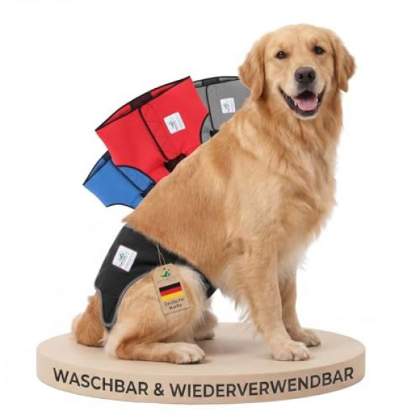 Läufigkeitshose von Nature Pet – auch für große Hunde wie den Ridgeback
