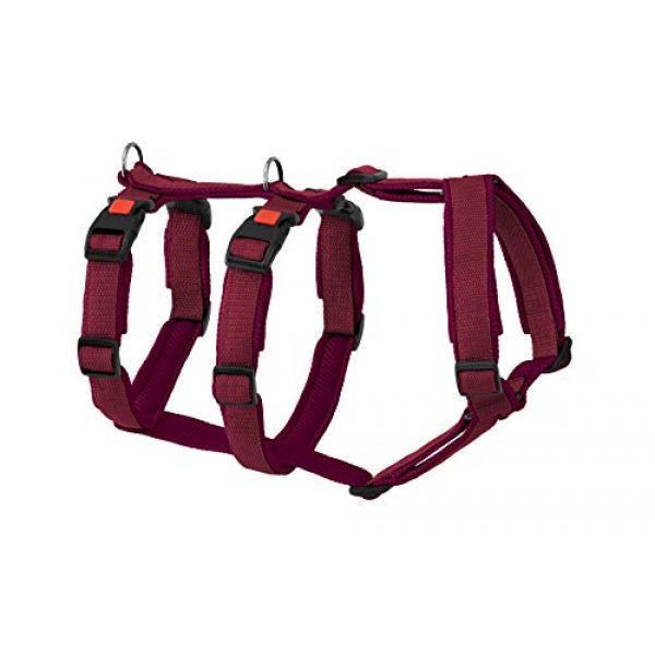 Panikgeschirr von Greyhound Safe it™