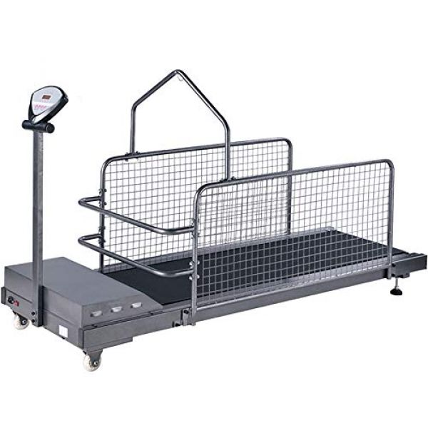 Laufband für Hunde bis 100 kg