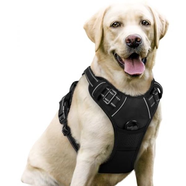 Anti-Zug-Hundegeschirr von Rabbitgoo