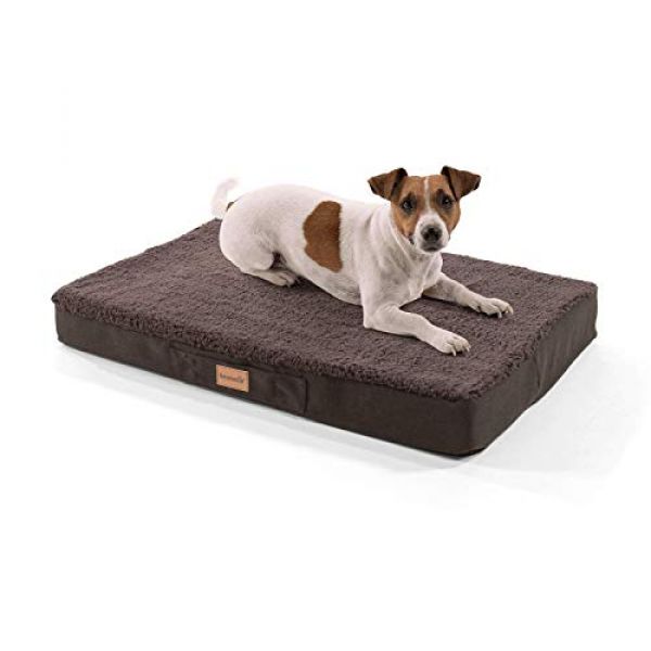 Orthopädische Hundematratze von Brunolie