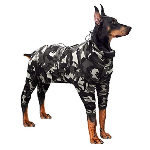 Hundebody ☀️ » Test & Vergleich » (06/2021)