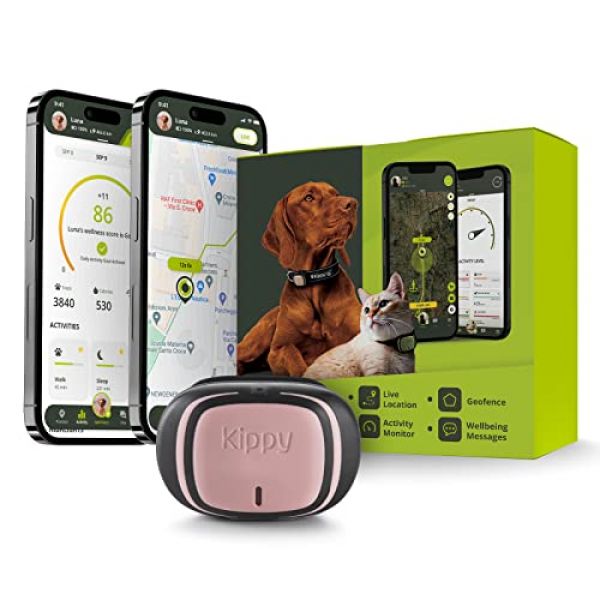 Accor halvø Passiv GPS Hundehalsband ☀️ » Test & Vergleich » (2023)
