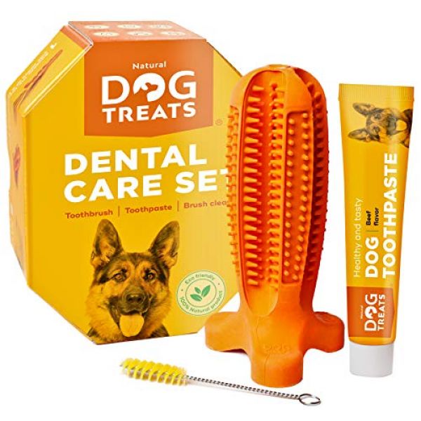 Natural Dog Treats Set inklusive Zahnpasta mit Rindfleischgeschmack