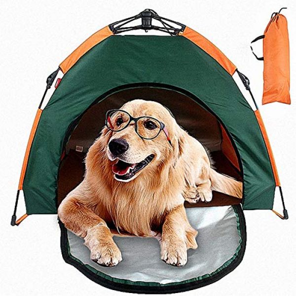 Hundezelt mit Tragetasche – wasserdicht und faltbar
