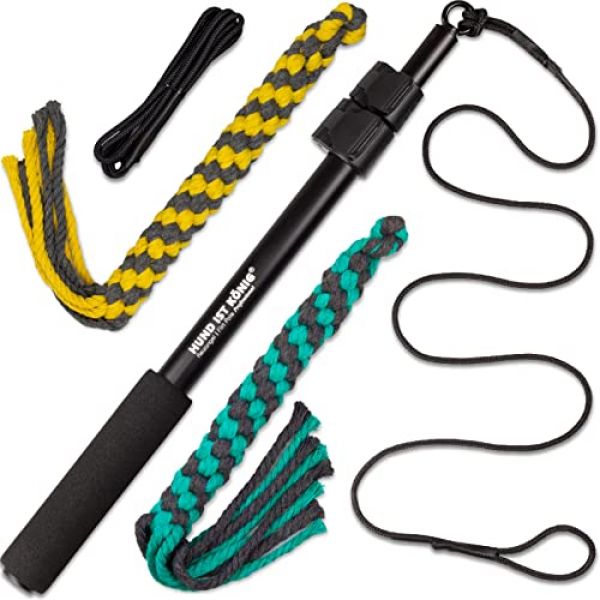 Profi-Reizangel mit E-Book von HUND IST KÖNIG