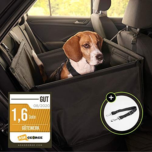 hunde autositz test die besten im vergleich 2021