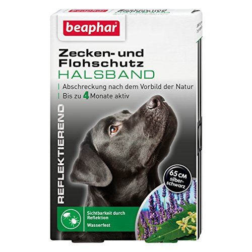 Flohhalsband Fur Hunde Test Vergleich 01 21
