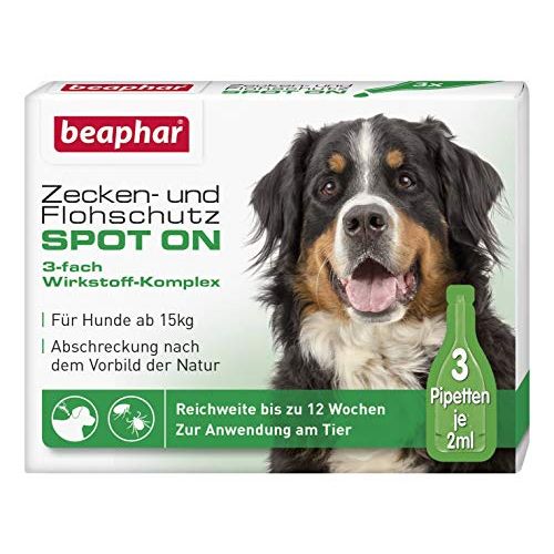 zeckenmittel fur hunde test vergleich 05 2021