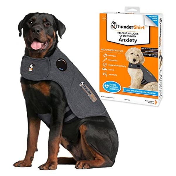 Thundershirt in XXL
