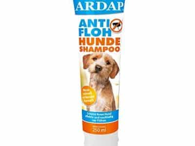 Antifloh für Hunde