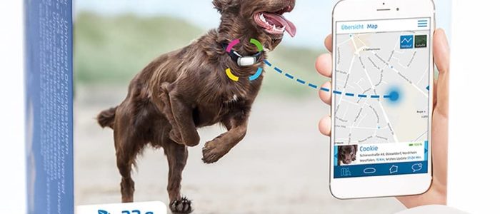 GPS-Hundehalsband