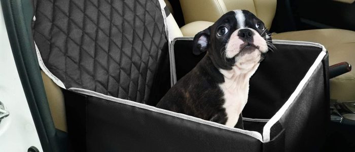 Hunde Autositz