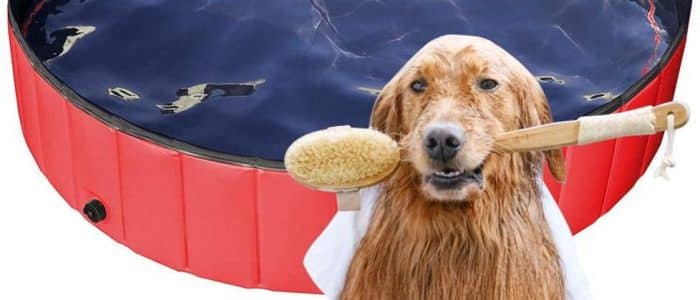 Hundebadewanne