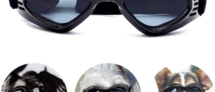 Hundebrille