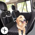 Hundedecke Auto