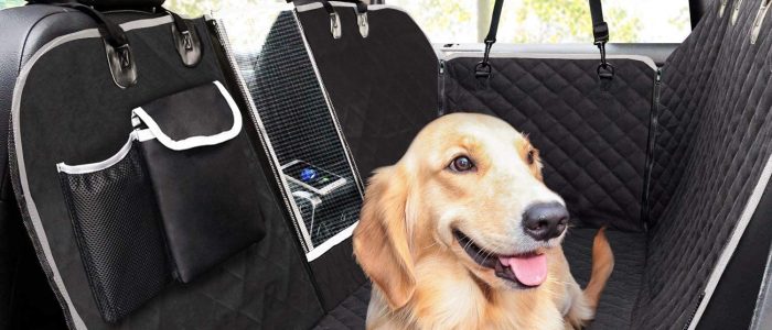 Hundedecke Auto