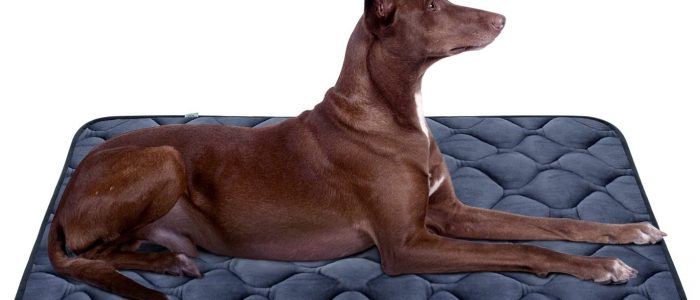 Hundematte