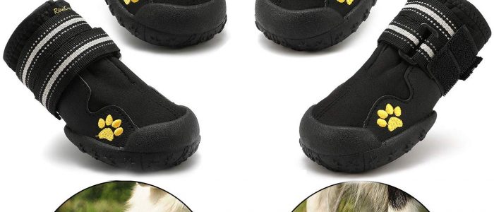 Hundeschuhe