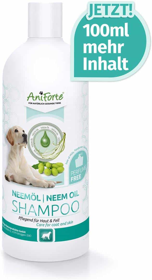Hundeshampoo Test die BESTEN im Vergleich » (08/2021) ☀️