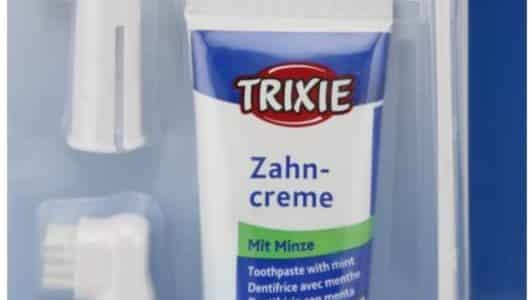 Hundezahnbürste
