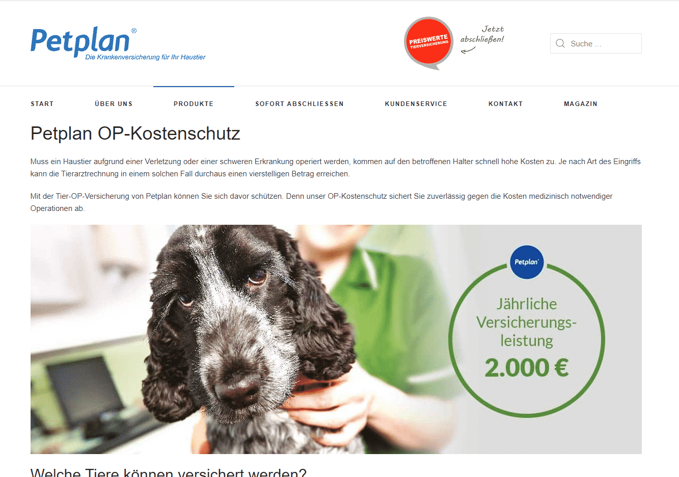 Screenshot von Petplan