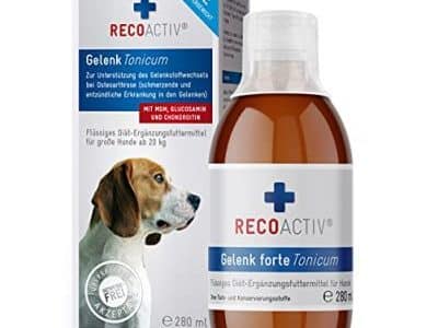 Schmerzmittel für Hunde