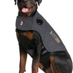 Thundershirt