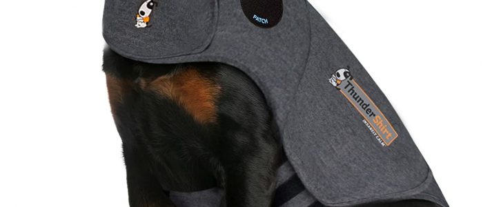 Thundershirt