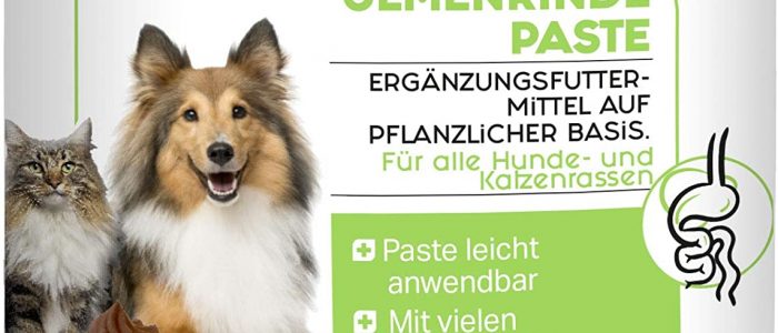 Ulmenrinde Hund