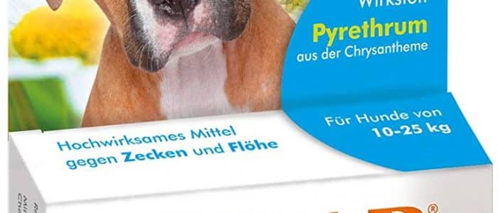 Zeckenmittel Hund